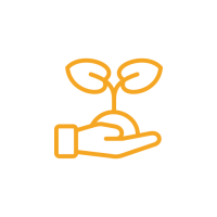 Environmental Analysis